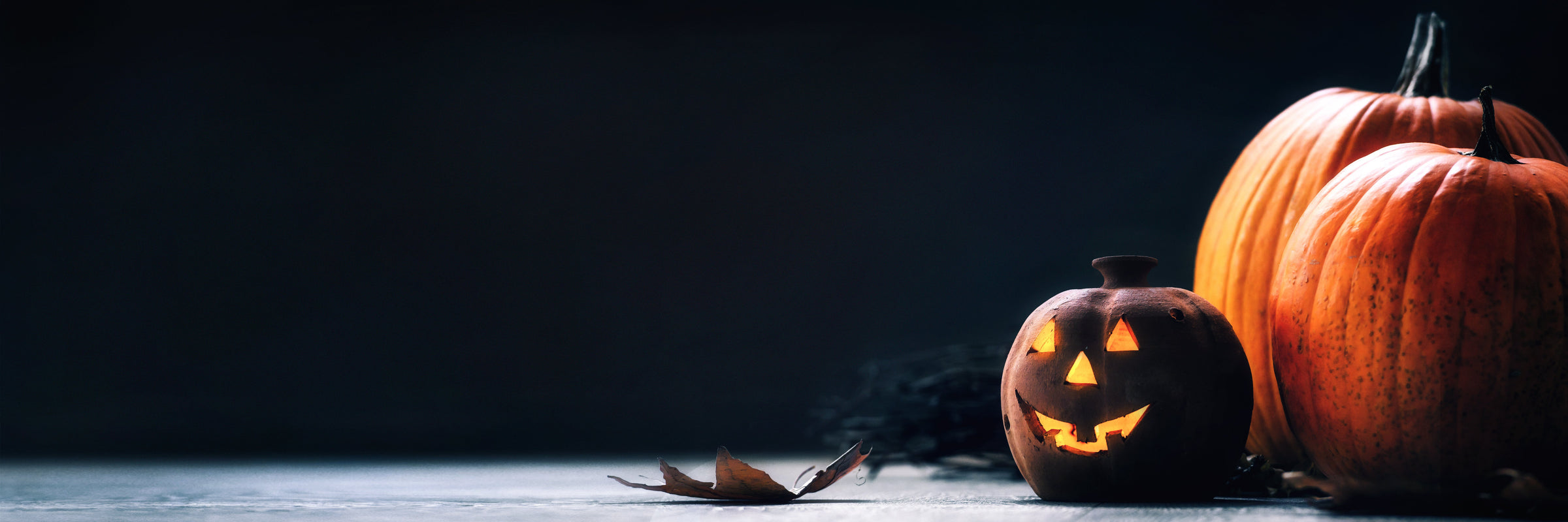 SPOOKY SEASON: SAVE 30% ON SELECT BLACK + CORAL TOYS!