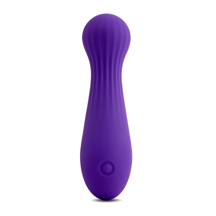 Purple Bullet Vibrator